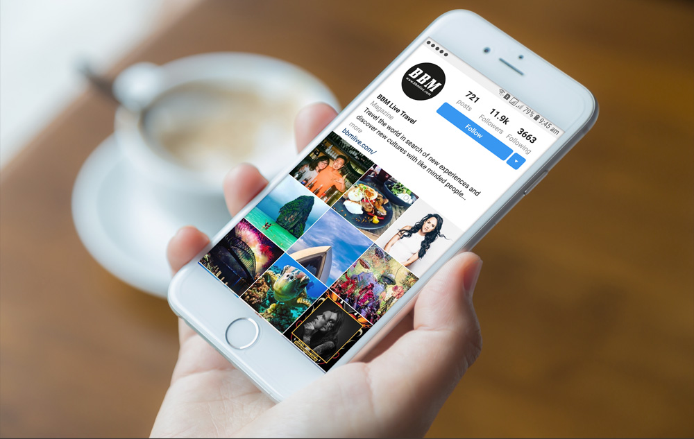 Web design & SEO in O'Connor