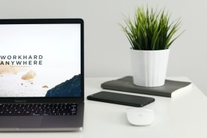 Hilton Digital Marketing Specialist