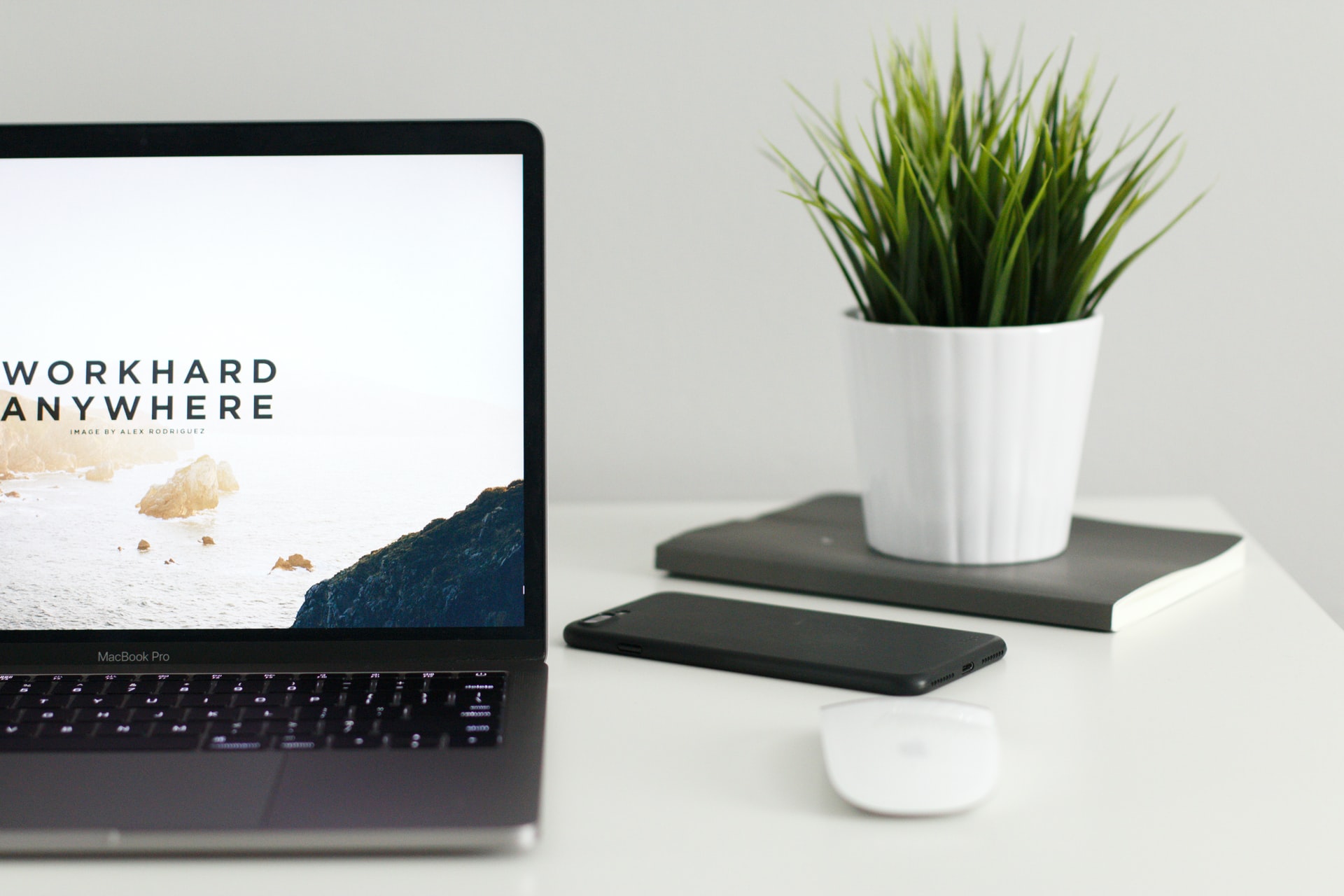 Hilton Digital Marketing Specialist
