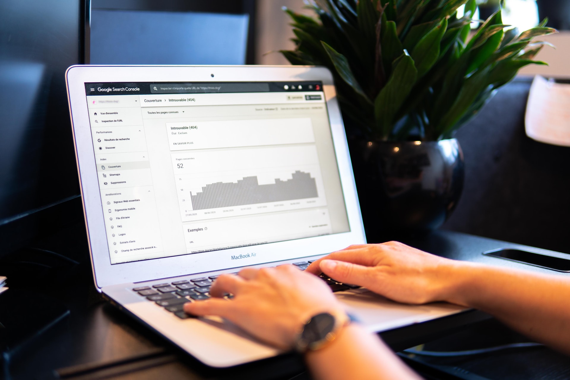 Hilton marketing & SEO specialists
